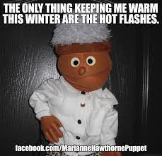 The Only Thing Keeping Me Warm This Winter Are The Hot Flashes Cold Winter Funny Meme Https Www Faceb Christmas Memes Funny Christmas Memes Christmas Humor