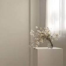We did not find results for: R O S I E White Aesthetic Beige Aesthetic White Room Decor