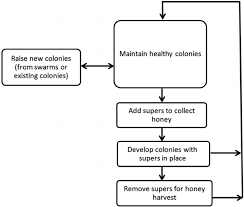 beekeeping flow diagram for unprocessed honey production