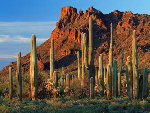 Arizona's Natural Wonders | Office of the Arizona Governor