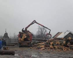 ) pe piata din romania. Sc Succes Nic Com Srl Forstunternehmer