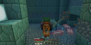 They come in a variety of colors and are neutral for the player. Axolotls Minecraft Pe Addon Mod 1 16
