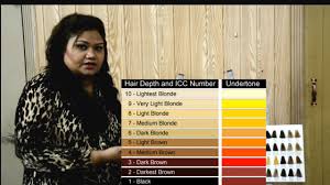 Colour Theory Knowledge Part 5 Color Level Hair Chart Nazia Khan
