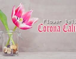 Our website offers springfield online flowers for every occasion, including birthdays, anniversary. The 8 Best Options For Flower Delivery In Springfield Illinois 2021