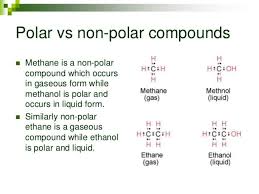 D) a molecule with very polar bonds can be nonpolar. Methane Polar Or Nonpolar Does Methane Contain Non Polar Or Polar Covalent Bond Explain