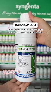 Baloric 310EC