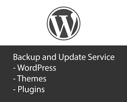 Have you ever been hacked and needed to restore a clean version of your site? Wordpress Theme Plugins Backup And Update Service By Jitendra Sahu On Envato Studio