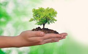 En este sentido, el día mundial del medio ambiente 2019 nos recuerda la importancia de respirar un aire más limpio a través de acciones concretas que podemos afrontar. Dia Mundial Del Medio Ambiente Blog De Servicios Medioambientales Aema