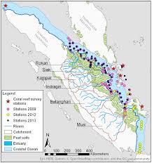 Update video tiap hari @updatetiaphri. The Invisible Carbon Footprint As A Hidden Impact Of Peatland Degradation Inducing Marine Carbonate Dissolution In Sumatra Indonesia Scientific Reports