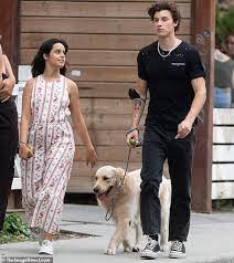Скачай camila cabello and shawn mendes the christmas song (2020) и camila cabello shameless (neovaii remix) (single 2020). Camila Cabello And Shawn Mendes Take Their Dog For Another Walk As The Two Relax In Toronto News Colony