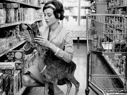 Audrey hepburn is famous for her memorable movie roles in the 1950s and 60s. Frozen In Time Audrey Hepburn Shopping With A Fawn 1958 Audrey Hepburn The Guardian