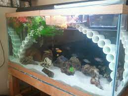 See more ideas about aquarium design, amazing aquariums, fish tank. Awesome Cichlid Tank Decorations 2 Decorations For Fish Tank African Cichlids Fish Tank Decorations Diy Fish Tank Aquarium Fish Tank