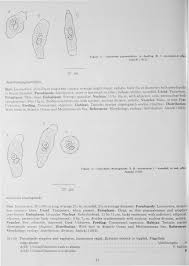 Marine Flora and Fauna of the Northeastern United States. Protozoa:  Sarcodina: Amoebae