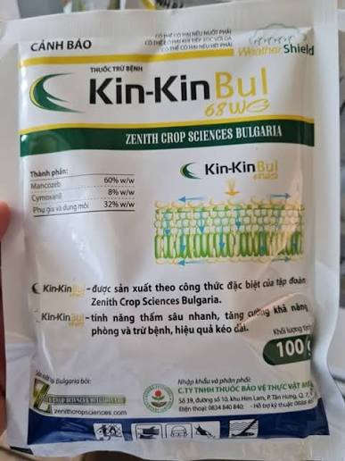Kin-kin Bul 68WG