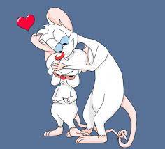Itch never held his part of the deal, making the whole deal null and void. Pinky And The Brain Heart 640x579 Download Hd Wallpaper Wallpapertip