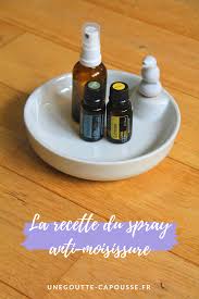 Spray Anti Moisissures Aux Huiles Essentielles Moisissure Huiles Essentielles Huile