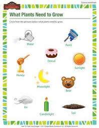 Printable science worksheets, study guides and vocabulary sets. What Plants Need To Grow Free Science Worksheet For 1st Grade Kids Science Worksheets Free Science Worksheets Science Kindergarten Worksheets