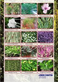 Check spelling or type a new query. Jenis Tanaman Vertical Garden 0811 900 858 Kaya Warna Dan Jenis Tanaman Hias Nan Indah Jasa Taman Vertikal Indoneta 0811 900 85 Taman Bunga Bunga Kebun Bunga