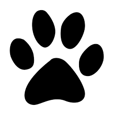 Paw Print Vector Icon Dog Paw Drawing Cat Paw Drawing Paw Drawing