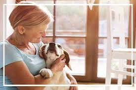 Our licensed veterinarians perform in home euthanasia and cremation services for dogs and cats all over nw oregon and southern washington. Home Euthanasia Dignified Pet Services