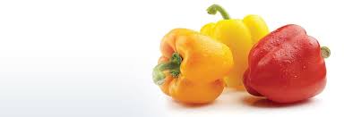 Pepper plants, pepper seeds and fresh peppers. Peppers Foodland Ontario