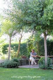 Weidenpavillon Weiden Flechten Willow Tree Sitzplatz Schatten Diy Gartengestaltung Veranderung Ideen Natu Garten Ein Schweizer Garten Gartengestaltung