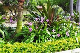 Florida Landscaping Ideas Pictures Florida Landscaping Tropical Landscape Design Tropical Landscaping