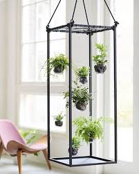Farn Ist Die Zimmerpflanze Des Monats Februar 2019 Nicht Ins Herz Der Pflanze Sondern Auf Die Erde Gi Indoor Tropical Plants House Plants Decor Bedroom Plants