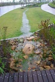 Wastewater Natural Filter Rain Garden Design Landscape Design Rain Garden
