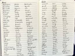 A verbal noun or gerundial noun is a gerundial verb form that forms a phrase functioning within a larger sentence as a noun phrase. Nouns And Verbs Butterfly Mind
