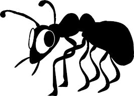 San diego area pest control faq. Are You Supposed To Tip Pest Control Tipwho