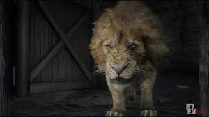 The male stellar sea lion can grow to the size of a compact car weighing over 2000 pounds and measuring over 10 feet long. Lion Rdr2 Animals Map Location Where To Find In Red Dead Redemption 2