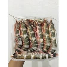 Selain itu, terdapat beberapa hari besar di bulan mei 2021 ini. Udang Windu Laut 1kg Besar Shopee Indonesia