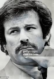 202 Bricklin Stock Photos, High-Res Pictures, and Images