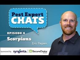Академика анохина, дом 9, корп. Dr Eric Paysen On Pest Expert Chats Episode 4 Scorpions Youtube