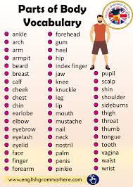 Every new class of preschool students brings new vocabulary that we need to teach, and this year i have had a lot of kids who are working on identifying and labeling body parts. Parts Of Body Vocabulary English Grammar Here