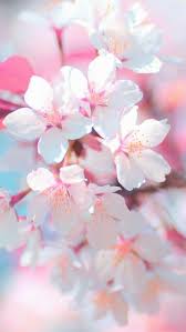 Iphone X And Iphone 8 Stock Wallpapers Part 2 Flowers Photography Flower Aesthetic Flower Wallpaper