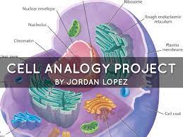 Maybe you would like to learn more about one of these? Cell Analogy Project By Jordan Lopez