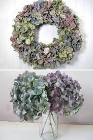 While you are working on the frame, dunk the flowers into a bucket of water. How To Dry Hydrangeas The Garden Glove Dried Hydrangeas Hydrangea Hydrangea Colors