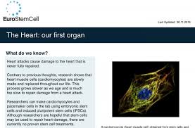 The Heart Our First Organ Eurostemcell It works constantly without ever pausing to rest. the heart our first organ eurostemcell