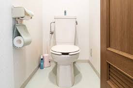 Sculptural pedestal sinks add to the design—and visual space—of cramped water closets. 7 Best Compact Toilets For Small Bathrooms 2021 Reviews Sensible Digs