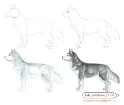 Drawing & painting courses on my website: How To Draw A Dog Step By Step Easydrawingtips