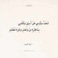 شعر امرؤ القيس تصد وتبدي عن أسيل وتتقي عالم الأدب Quran Quotes Inspirational Arabic Poetry Arabic Quotes With Translation