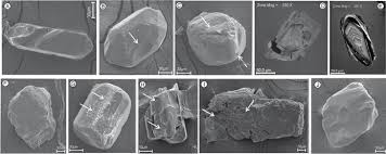 Scielo Brasil Provenance Of Heavy And Clay Minerals In Bottom Sediments Of Green Lake An Amazonian Fluvial Lake In Brazil Provenance Of Heavy And Clay Minerals In Bottom Sediments Of