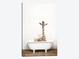 Sylvie whale tail in the mist by amy peterson art studio framed canvas wall art 23 in. Skeptic Giraï¬€e In Bathtub Canvas Print By Amy Peterson Icanvas