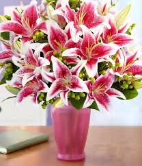 The flower buds open towards the sky. Proflowers Lily Flower Flower Arrangements Stargazer Lily