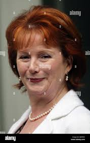 A closeup shot of the hazel eye of a female Stock Photo