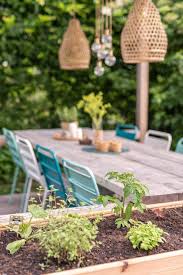 Er sollte im frühjahr und im herbst ausgesät werden, da er im sommer zum schießen (damit bezeichnet man die vorschnelle blütenbildung) neigt. Mein Grillgemuse Hochbeet Im Garten Leelah Loves