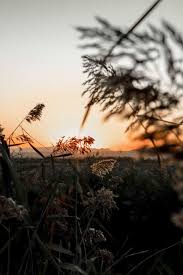 You may be using your smartphone or computers for. Sunset Editing Background Images Download Full Hd New