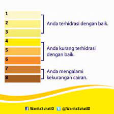 We did not find results for: Elita Manis Elitamanis Twitter